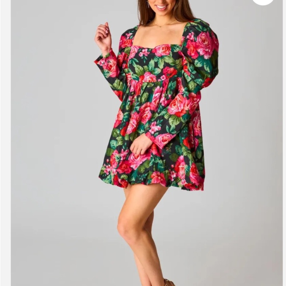 Buddy Love Stassi Puff Sleeve Babydoll Dress, Size Large